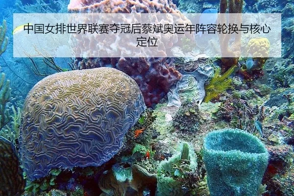 zhong-guo-nv-pai-shi-jie-lian-sai-duo-guan-hou-cai-bin-ao-yun-nian-zhen-rong-lun-huan-yu-he-xin-ding-wei-3-800.jpg